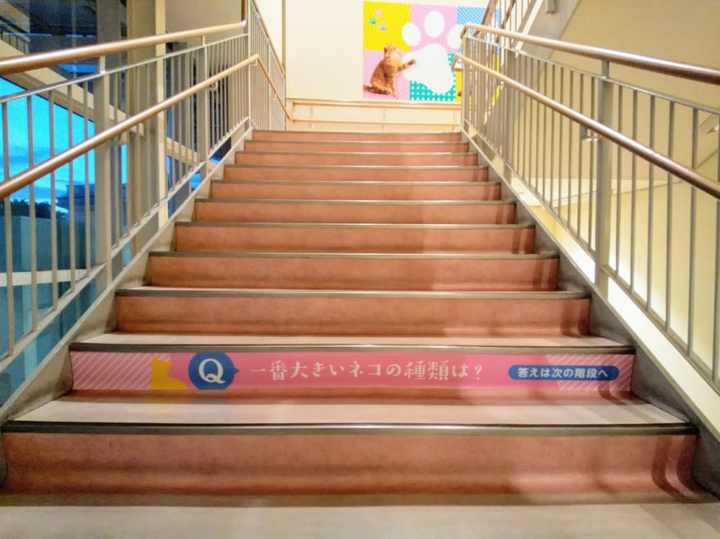 イオンモール大和ウォーキングコースの階段