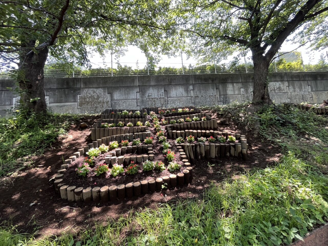 ふれあいの森の「やまと」花壇2
