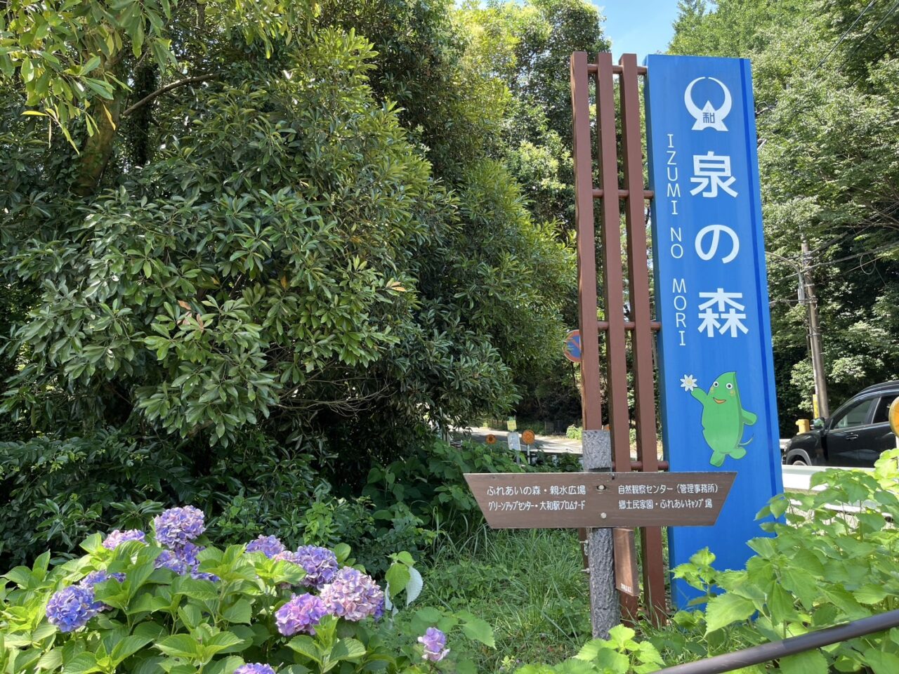 泉の森の看板とあじさい