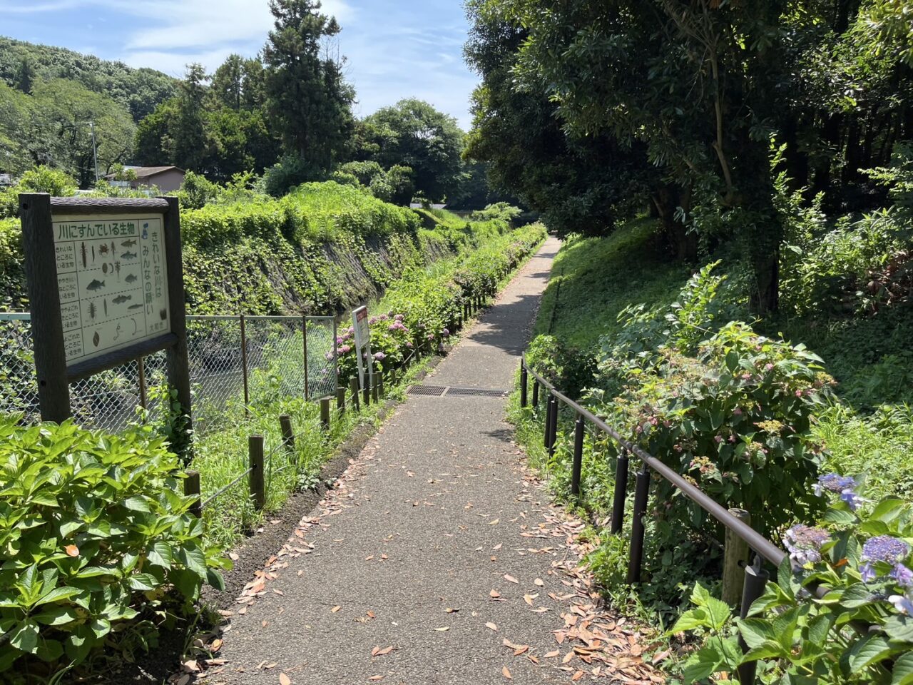 泉の森からふれあいの森に向かう道
