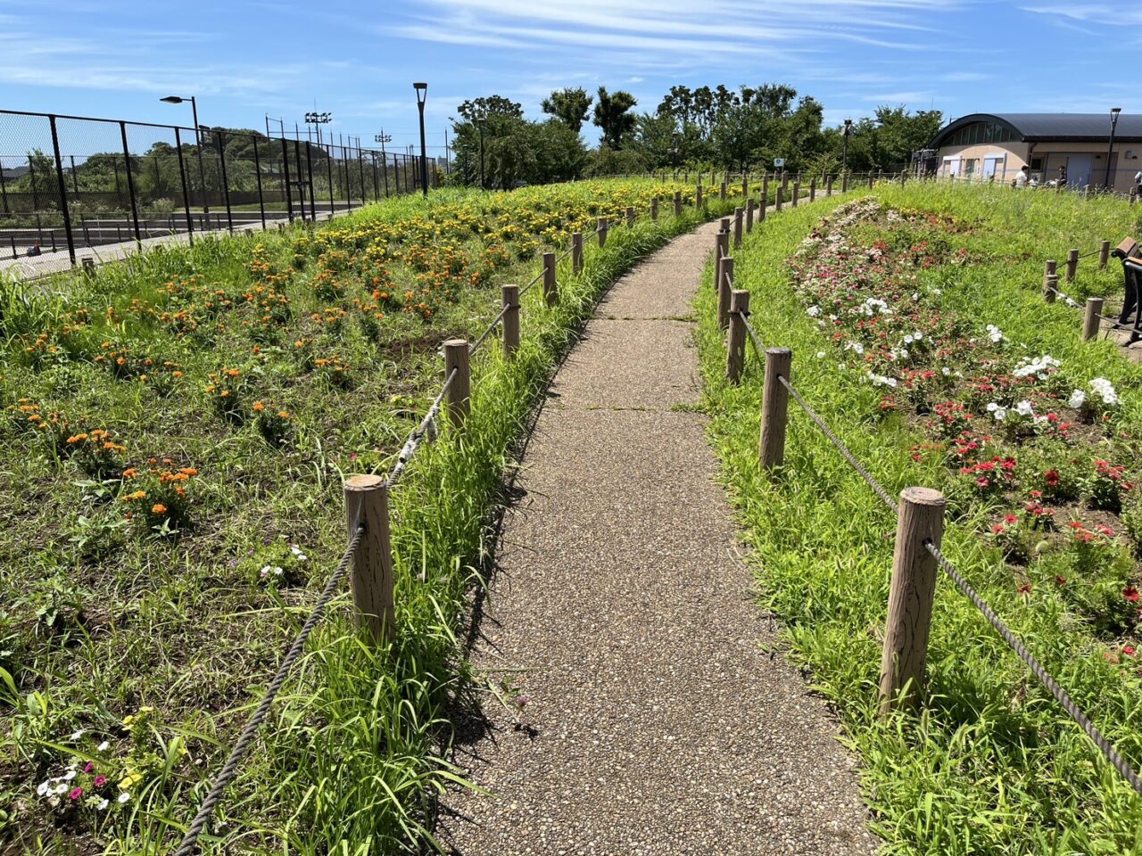 ゆとりの森のバーベキュー広場前にある花壇