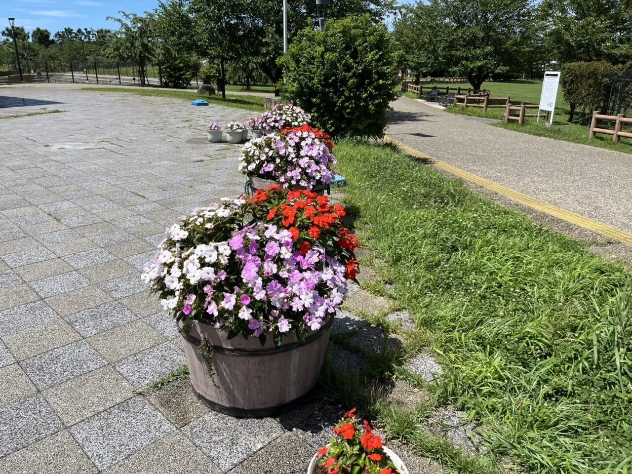 ゆとりの森の仲良しプラザ・売店前にあるプランター