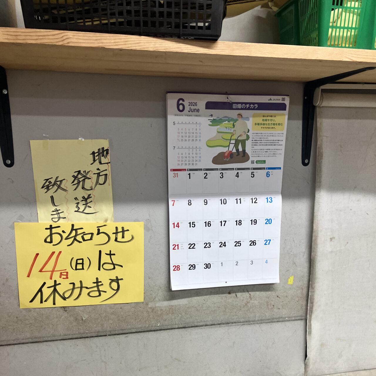 定休日