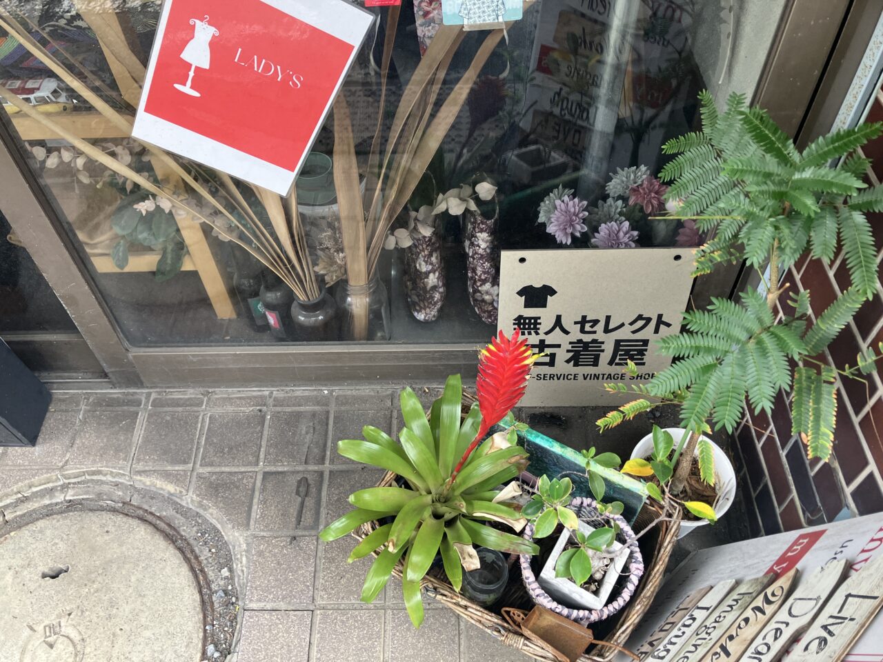 入口