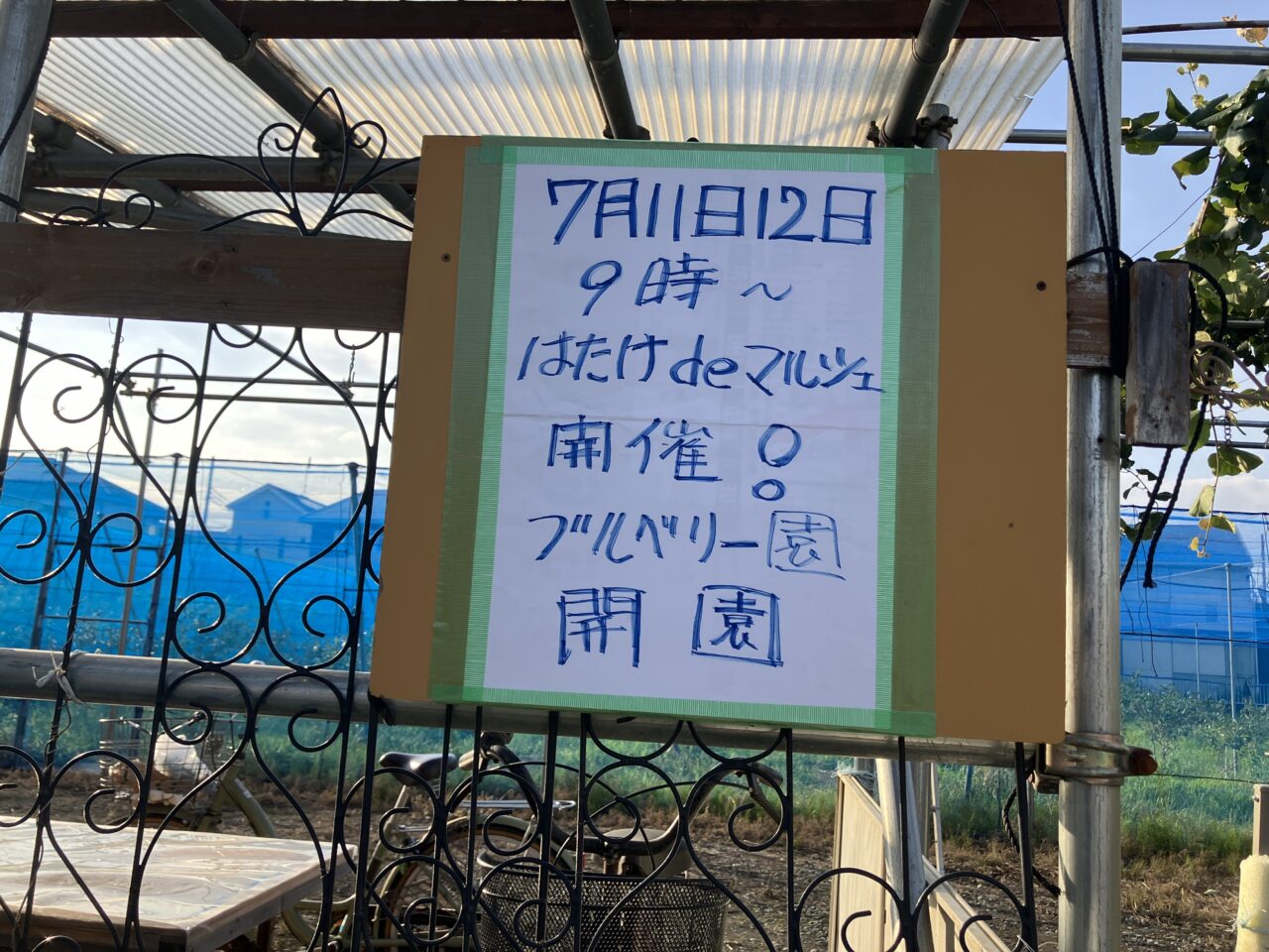 ブルーベリーガーデン つきみ野 はたけdeマルシェ