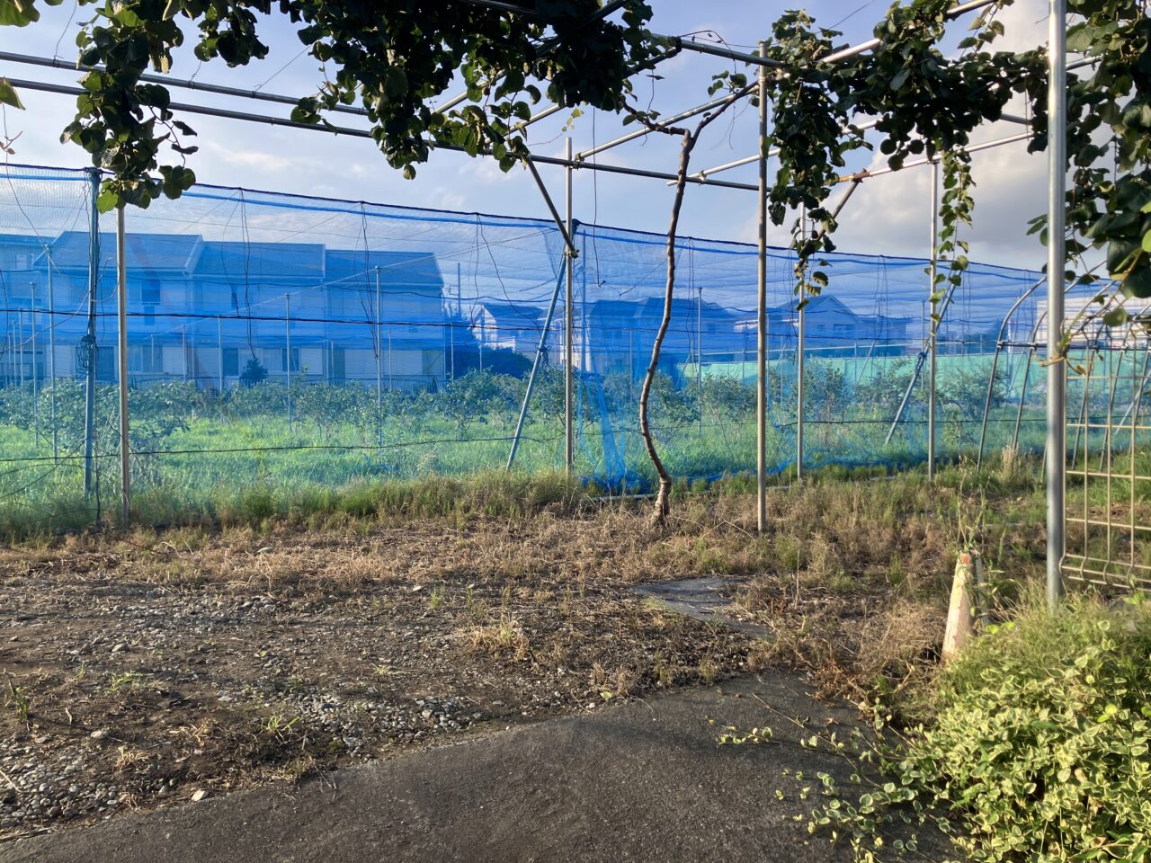 農園