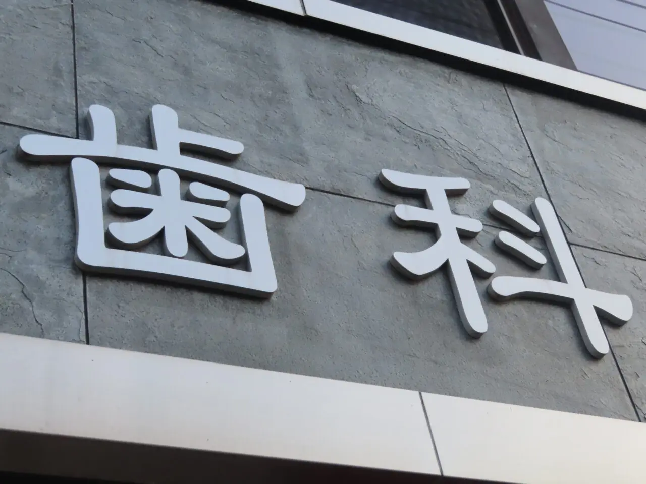 歯科