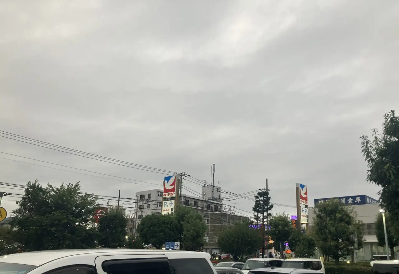 イトーヨーカドー大和鶴間店 看板